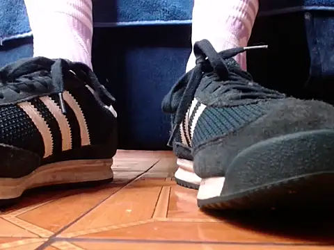 alphaswitchard webcam