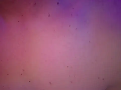 chronic_vibez webcam