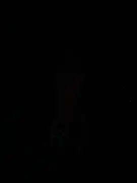 tsashelayamylynzy webcam