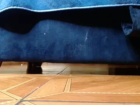 alphaswitchard webcam