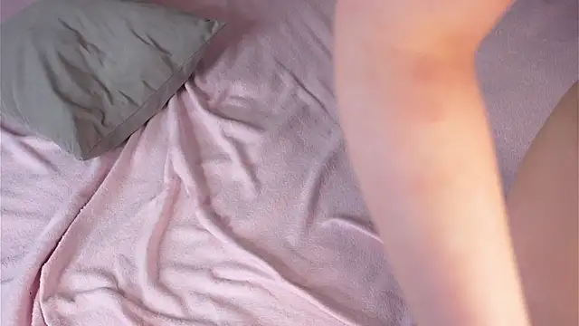 FalineBeacher webcam