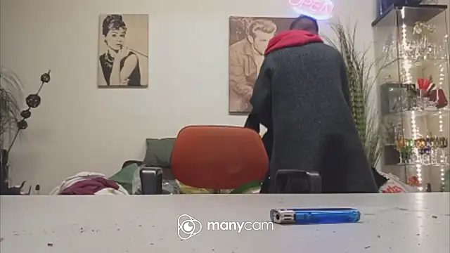 Preview of der_dino30