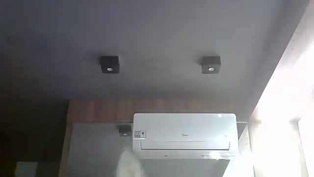 SkinnyKitten webcam