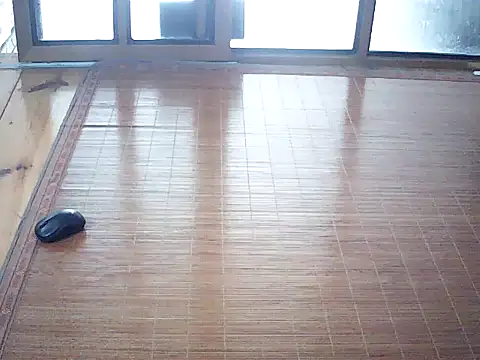 Deptraidatinh webcam