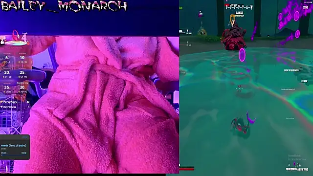 baileymonarch webcam