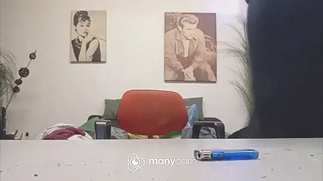 Preview of der_dino30