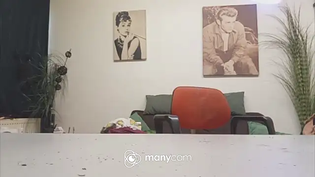 Preview of der_dino30