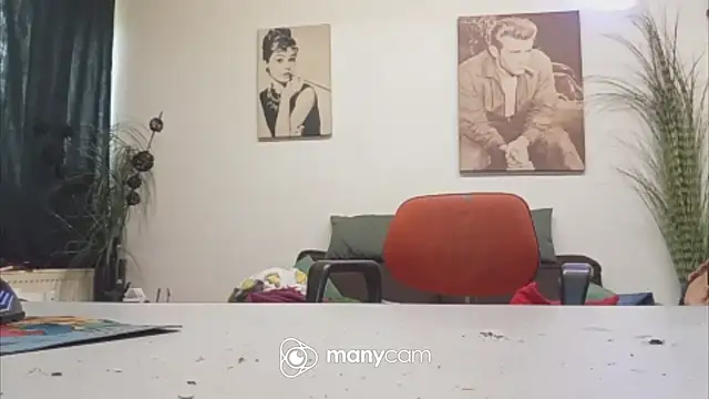 Preview of der_dino30