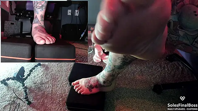 SolesFinalBoss webcam