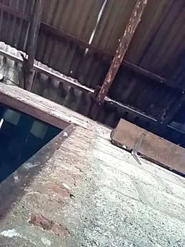 dulajthushara2468 (Ask my age) - Cum load.................naked.......