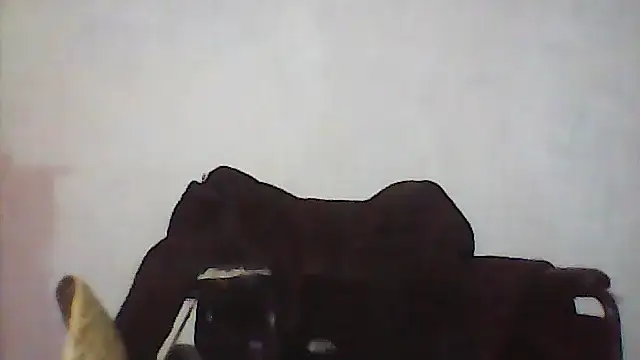 cobrosdepagos webcam