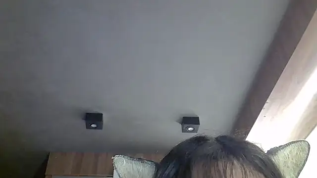 SkinnyKitten webcam