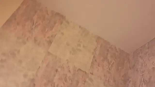 Benny_and_Mark webcam