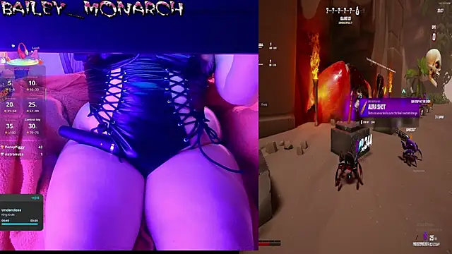 baileymonarch webcam