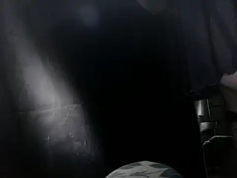 Paula-Maunder webcam