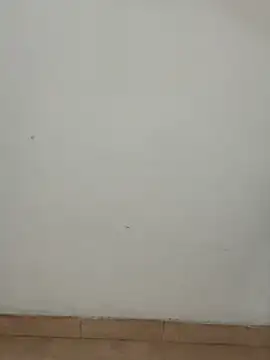 slave_pansilu webcam