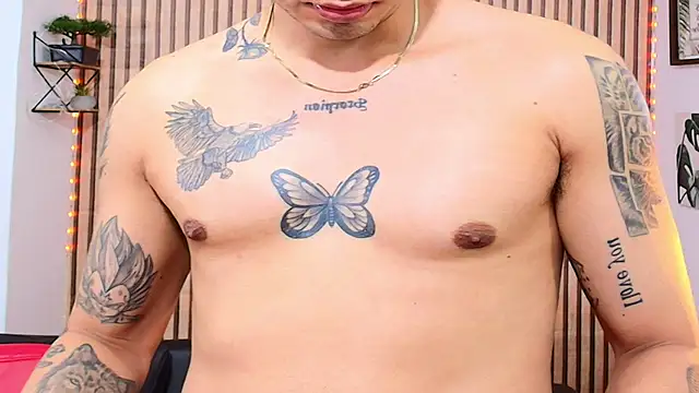 johan_speitzer webcam