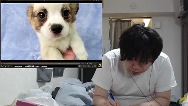 raterate555 (Ask my age) - 配信環境を整える