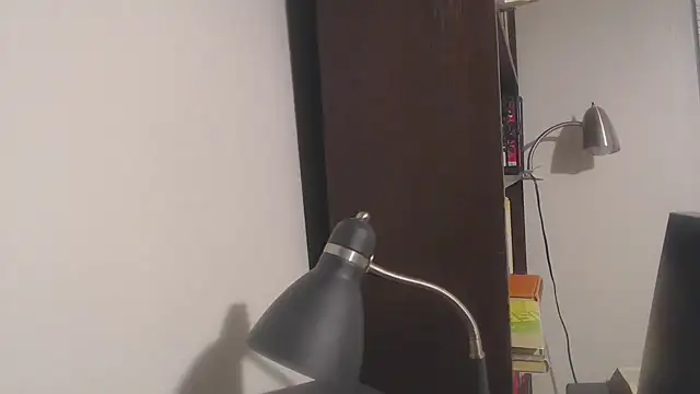 fireinside1963 webcam