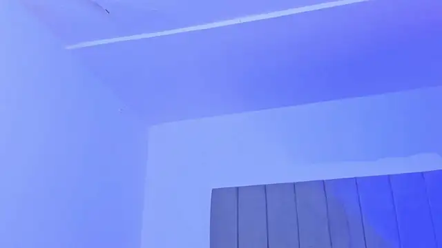 Adonys_Lewis_ webcam