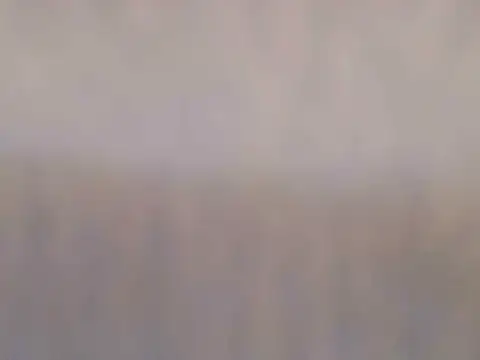 Luna_Moonfang webcam