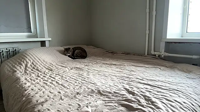 lisa_montana live sex cam