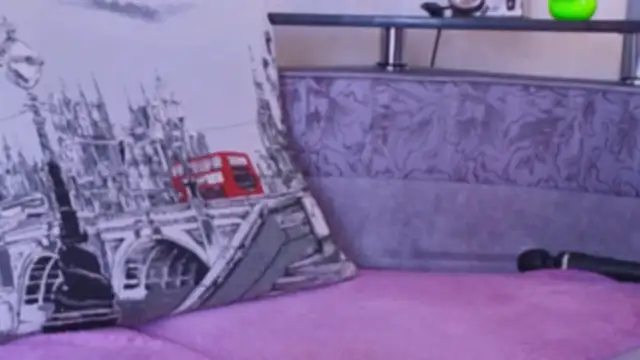 _LittleAngel_ webcam