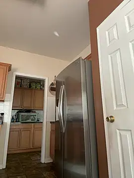 thechocolatepeach webcam