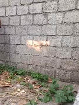 DoomedAchiever webcam