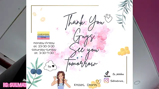 _sulmatevans_ webcam