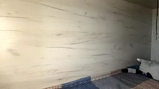 BlinkingDross webcam