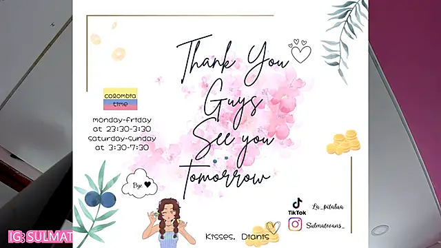 _sulmatevans_ webcam