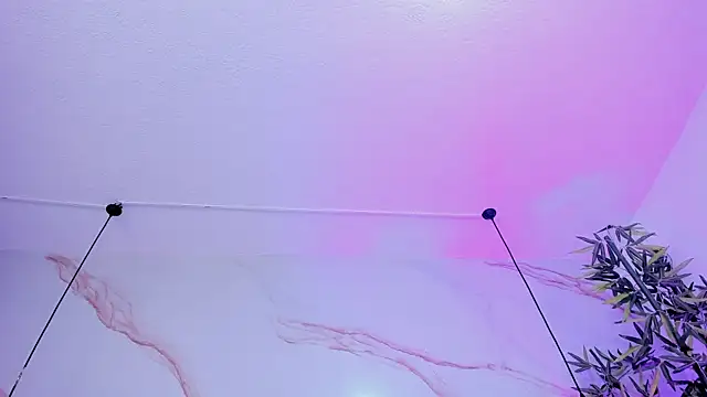 Ibbie_drastic webcam