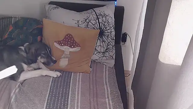 AlienforTwenty webcam