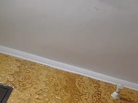 Fuckpussylickass webcam