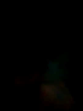 Preview of rashlever2