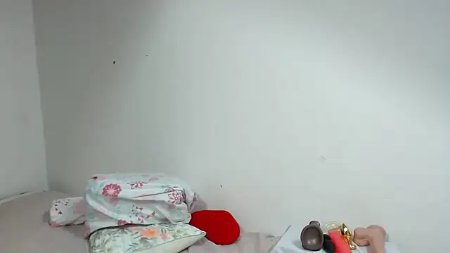 Agatha_browser webcam