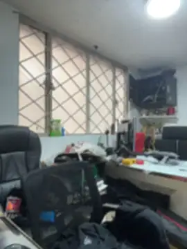 SALOME_KORLAND webcam