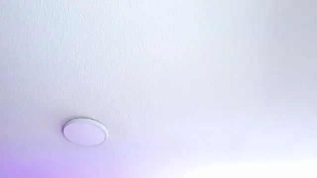 _Charlotte_Collins_ webcam