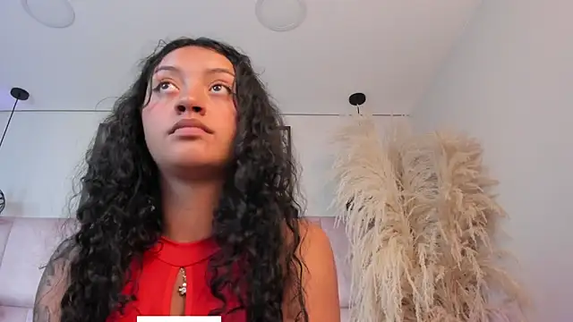 Vaithiare_stone webcam