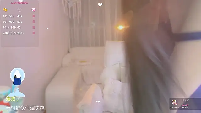 Vaidurya-Yolo webcam