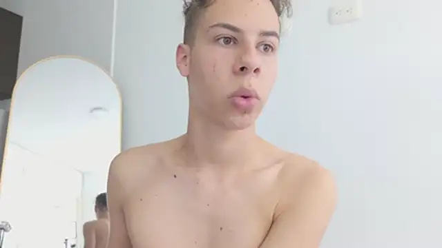 grey___27 webcam