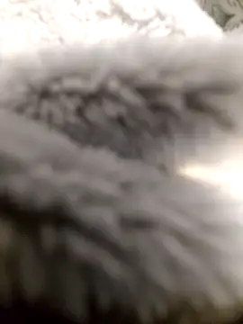 Preview of joseffargxxx