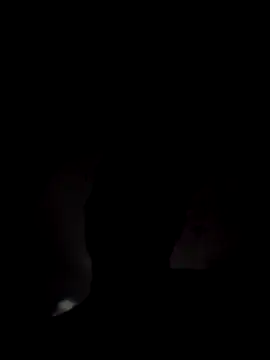 Preview of curious9884