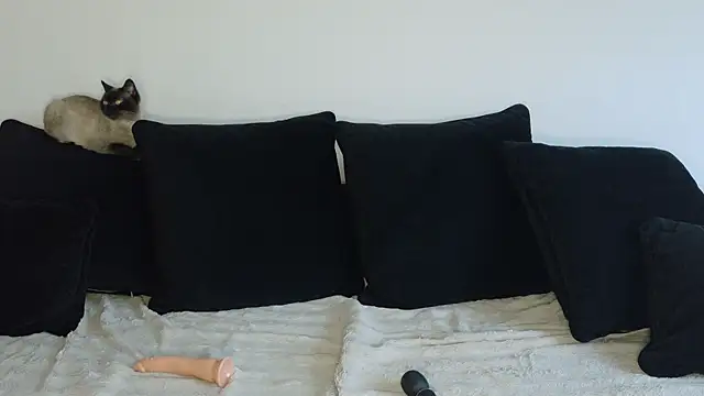 anastaziaolyjnikk webcam