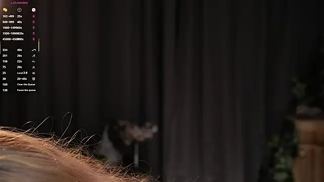 EdlinAlliston webcam