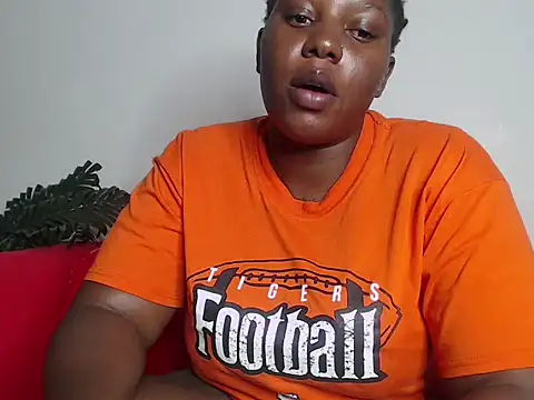 Whimsicalwillow webcam