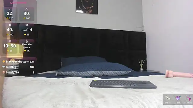 _Alan_Walker_1 webcam