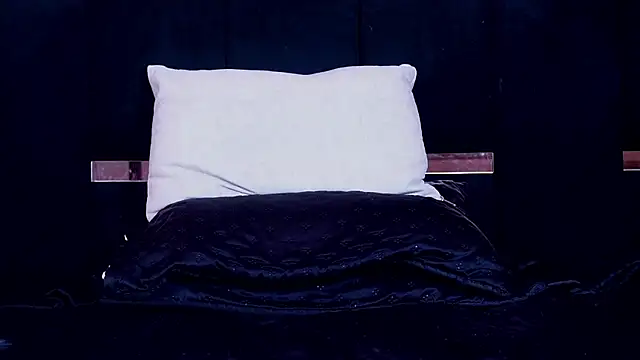 Brad_Scot_Patrick webcam