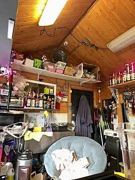 delicioussdixie webcam